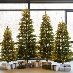 Sirius Elton Trä, inkl. LED-belysning, H. 150 cm