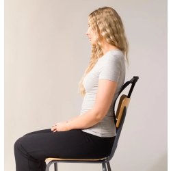 Swedish Posture Ryggsträckare