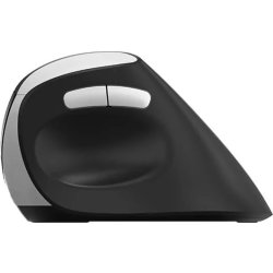RAPOO Mus EV250, 2,4 GHz, trådlös, Optisk svart