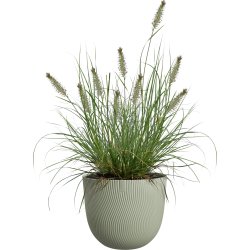Elho Sereh Blomkruka, 25 cm, nordic green