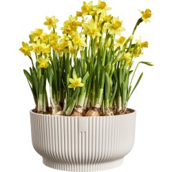 Elho Vibes Bowl Blomkruka, 25 cm, linen white