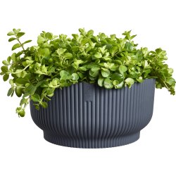 Elho Vibes Bowl Blomkruka, 25 cm, anthracite