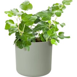 Elho B.for Soft Blomkruka, 16 cm, stone green