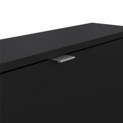 Skoskåp BudgetLine 2 fällbara luckor 2 fack Svart