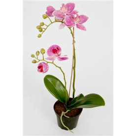 Orkidé lila H 40 cm