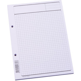 Arbetsblock A5, rutat