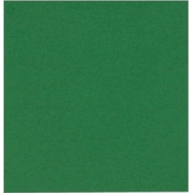 Pappersservett 2-lags 24x24 cm Grön 100 st
