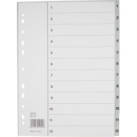 Register Budget A4 1-12 Plast