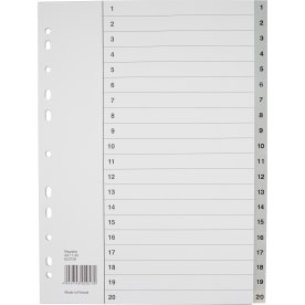 Register Budget A4 1-20 Plast