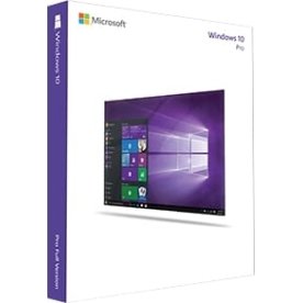 Microsoft Windows 10 Pro (SE) OEM