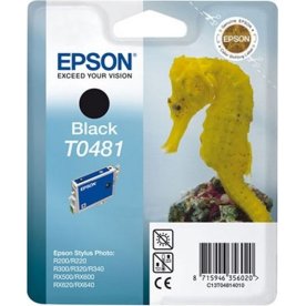 Epson nr T048/C13T04814010 bläckpatron, svart, 450