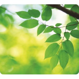 Musmatta Fellowes Earth Series Bladmotiv