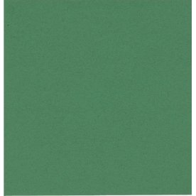 Pappersservett 2-lager 33x33 cm Grön 100 st