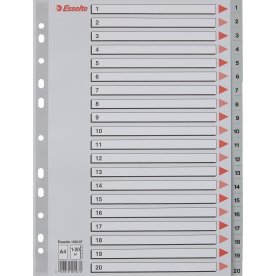 Esselte register A4, 1-20, plast, grå