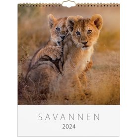 Burde 2024 Väggkalender, Savannen