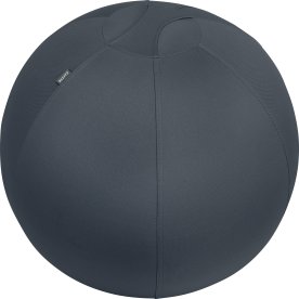 Leitz Ergo Cozy Active balansboll, svart, 65 cm