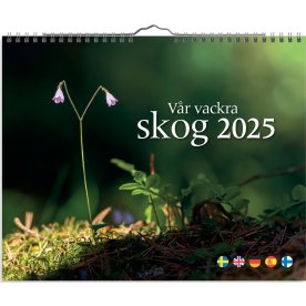 Burde 2025 Väggkalender, Vår vackra skog