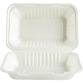 Take away-låda, bagasse, 1-fack, 23x15,7cm, 50 st.