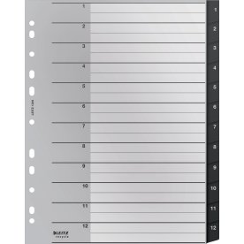 Leitz Återvinningsregister | A4 | PP | 1-12