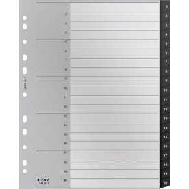Leitz Återvinningsregister | A4 | PP | 1-20