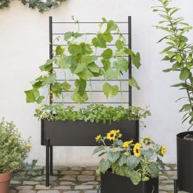 Eva Solo Simply Grow Spaljé för planteringslåda