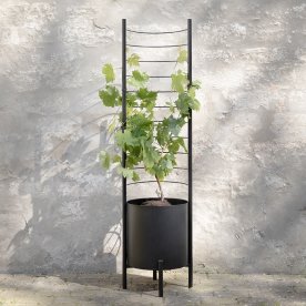 Eva Solo Simply Grow Spaljé för krukväxter