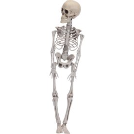 Skelettfigur, 42 cm, plast