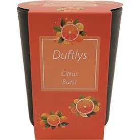 Doftljus i glasljusstake, 7,4x8,6 cm, Citrus Burst