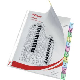 Esselte plastficka, A4 maxi, 12 plastfickor med in