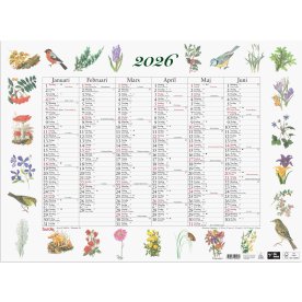 Burde 2026 Väggkalender, Stora Naturalmanackan