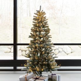 Sirius Elias Julgran, inkl. LED-ljus, H. 150 cm