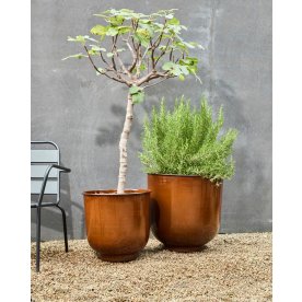 House Doctor Cove Krukor, brun, 2 st