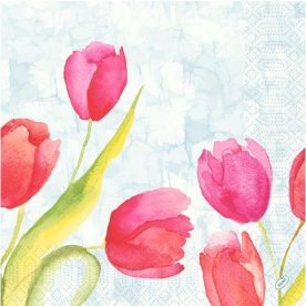 Servett Tulips 3-lags 40X40cm 250/fp